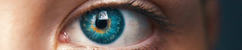 oog